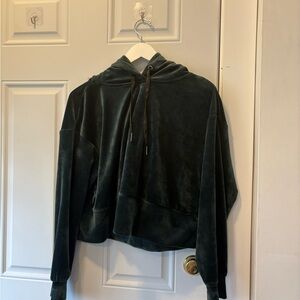 Philosophy Dark Green Velvet Crop Top